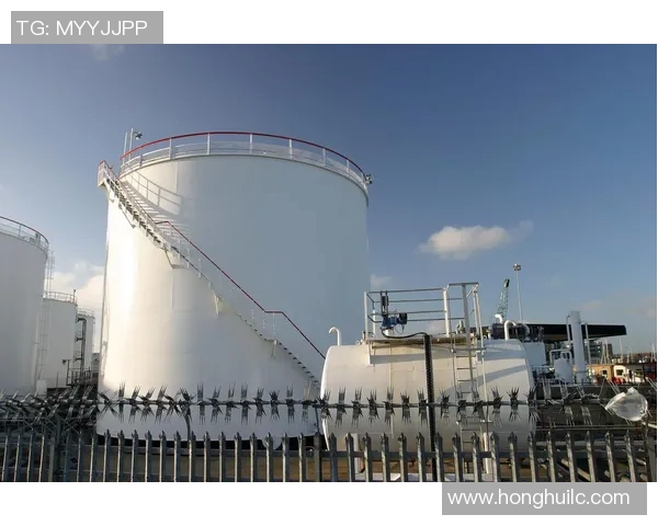 独家解析LNG技术对比及其在能源市场中的应用前景分析