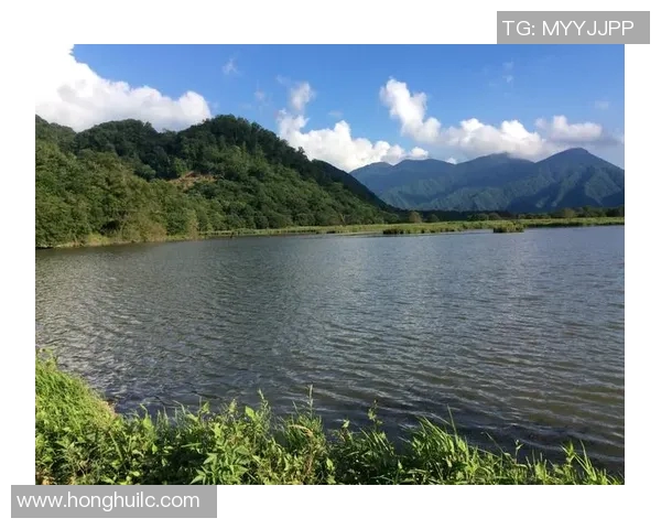 深度探讨刘强在王者荣耀中的游戏人生与成长历程